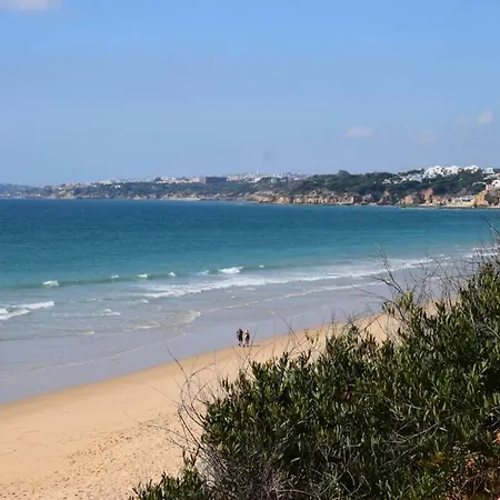 Buganvilia Praia Da Falesia *