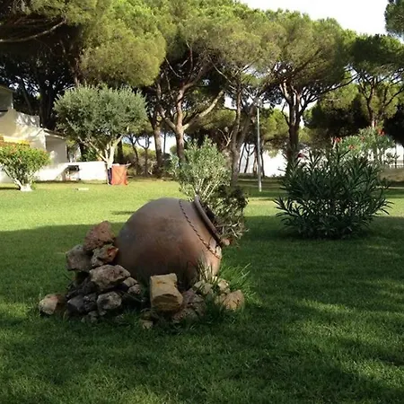 Buganvilia Praia Da Falesia Appartement *