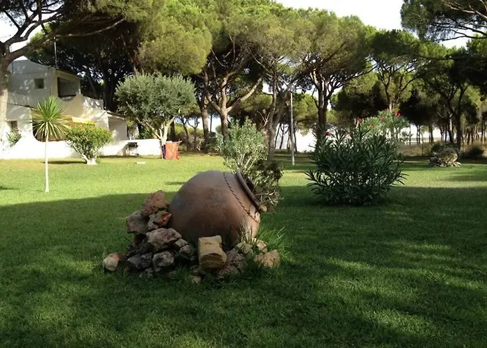 Buganvilia Praia Da Falesia Appartement *