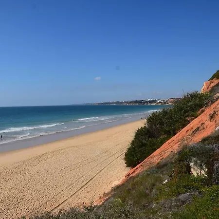 Buganvilia Praia Da Falesia *